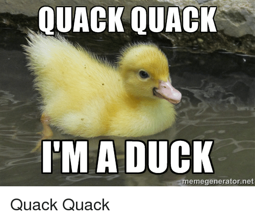 quack-quack-im-a-duck-meme-generator-net-quack-quack-19391130.png.eb06c24107b115b279c286cf64357967.png