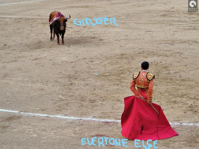 Inked08-bull-vs-matador-madrid-spain_LI.jpg