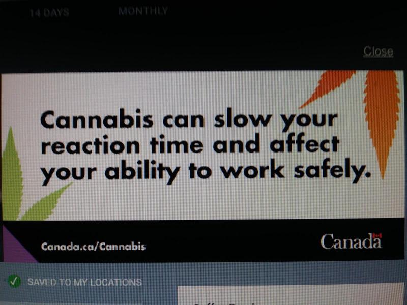 Cannabis ad.jpg