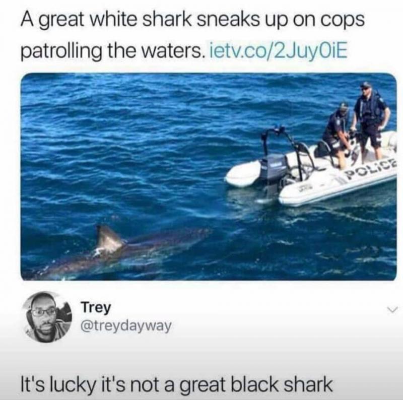 black shark.jpg