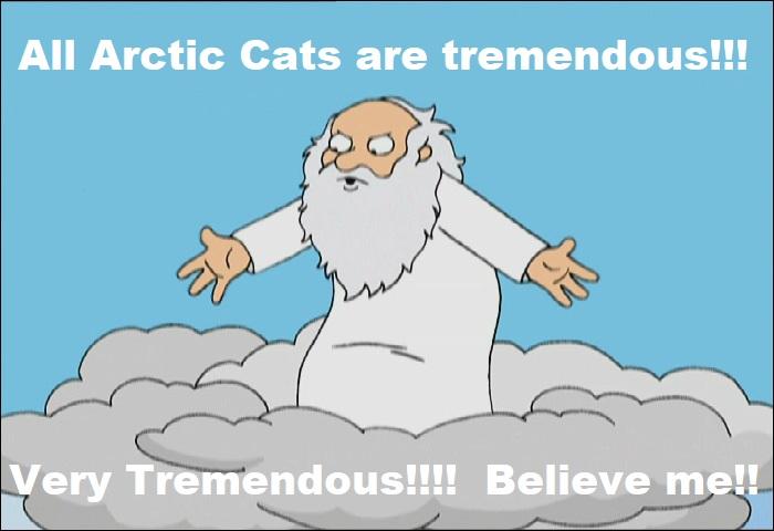 God Arctic cat.jpg