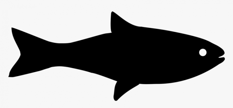 210-2107682_computer-icons-fish-clip-art-fish-clipart-black.png