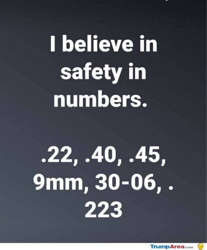 safety-in-numbers.jpg.jpeg