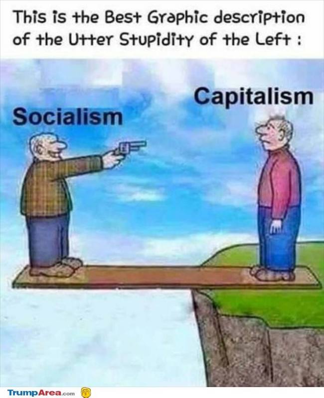 socialism-in-a-nutshell4.jpg.jpeg