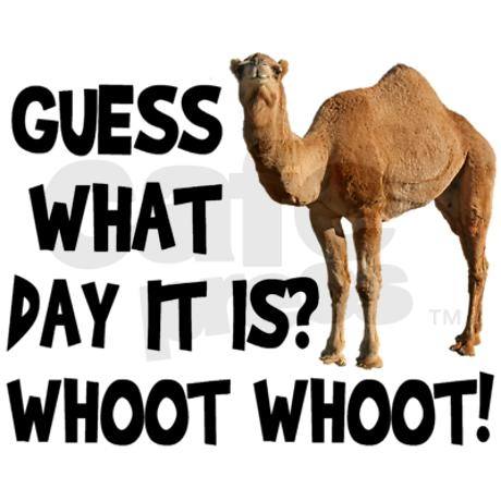 hump-day-camel-www_lovethispic_com.jpg