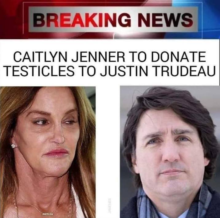 trudeau.jpg.20d6037a92ce865cb6373d07c47343b3.jpg