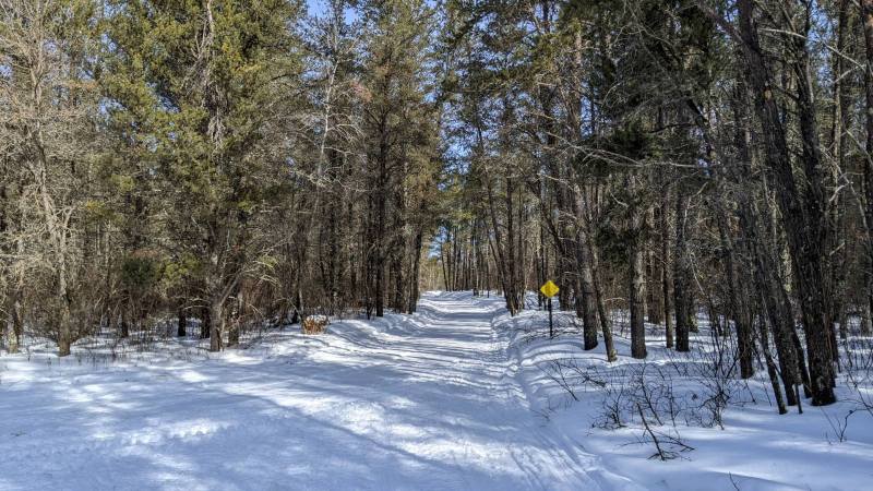 PXL_20220302_171039403[1].jpg
