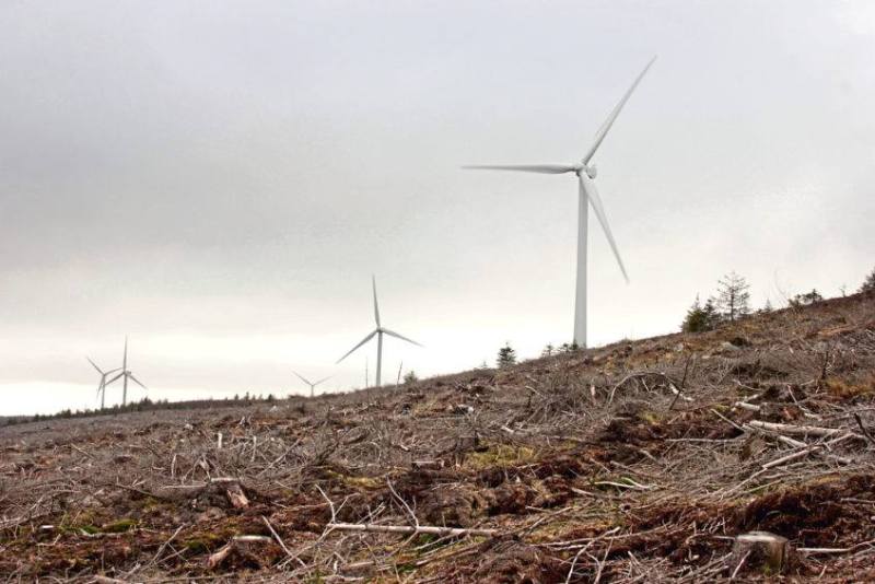 wind-farm-scotland.jpg