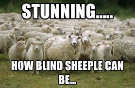 sheeple4.jpg