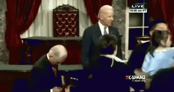 image.gif