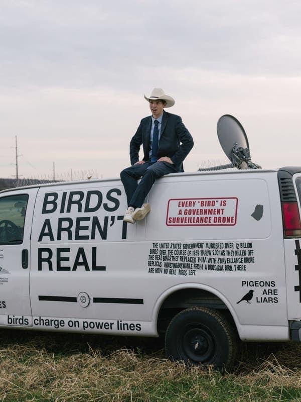 Why are birds disappearing after 40 years scientists still don t have