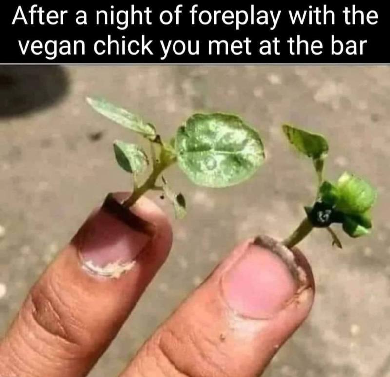 Screenshot_20230910_103952_Facebook.jpg