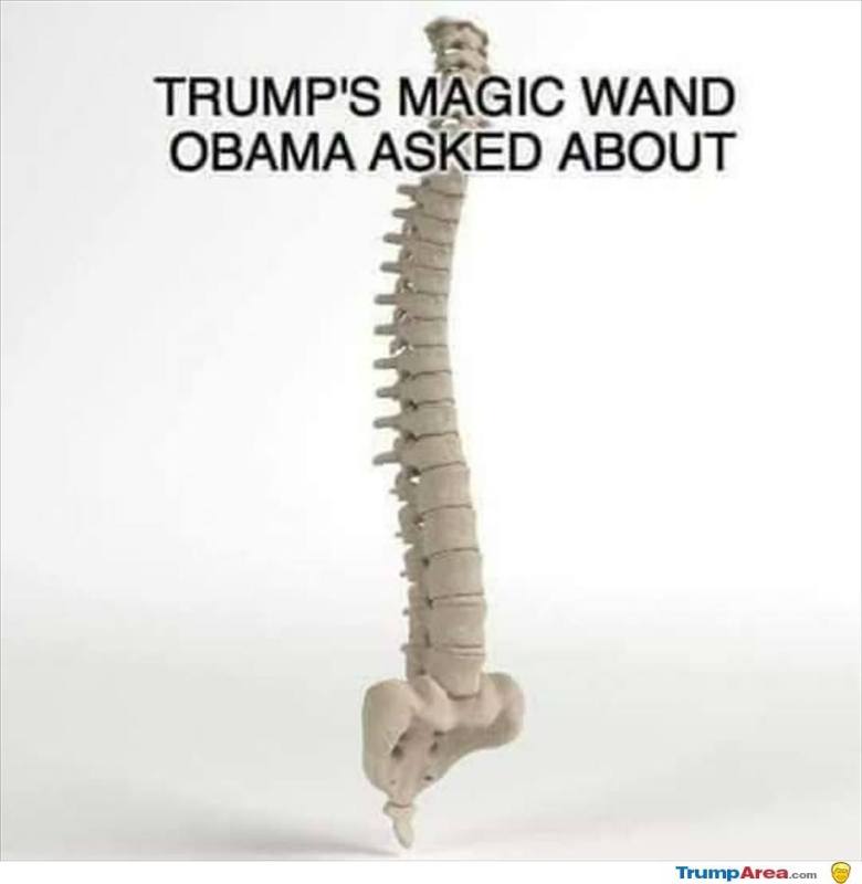 trumps-magic-wand6189.jpg