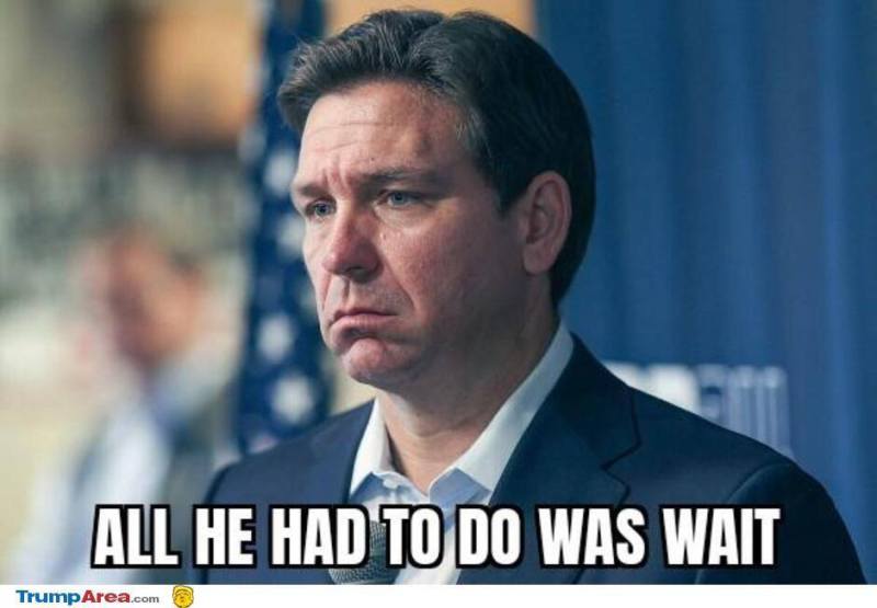 desantis-you-idiot.jpg