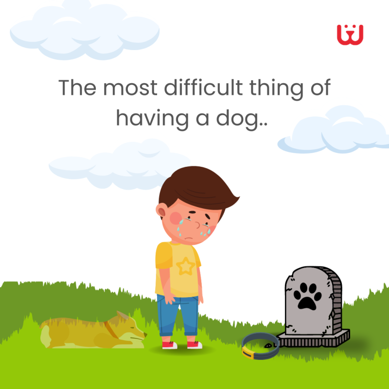 image.thumb.png.5a06ce439ecd61fba74376ad981b72d3.png