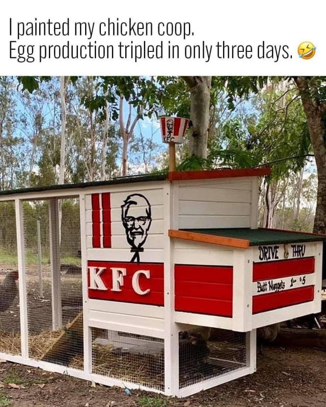 IMG_3142.thumb.jpeg.e2e0b53897bc442fa39dadbba0192a0b.jpeg