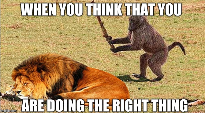 image.png.8fce8d5ace99316326d9ab6653c75e8c.png