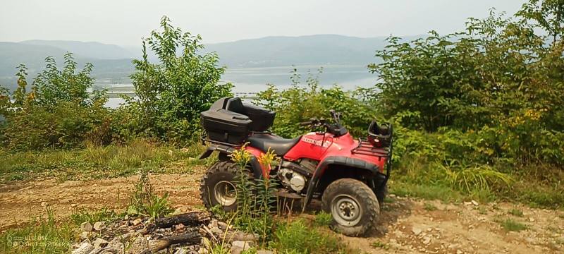 IMG_20240815_141924_511.jpg