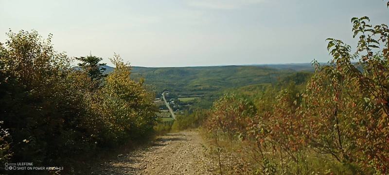 IMG_20240915_142033_455.jpg