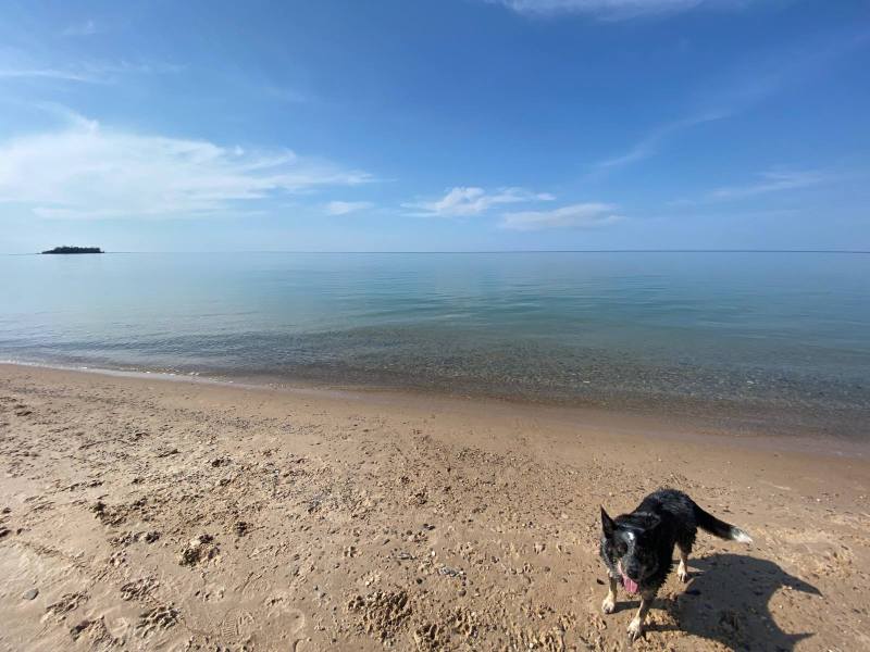 IMG_4978.thumb.jpeg.32cc17a6f9c446ae5c5b3afb5ec3fb1b.jpeg