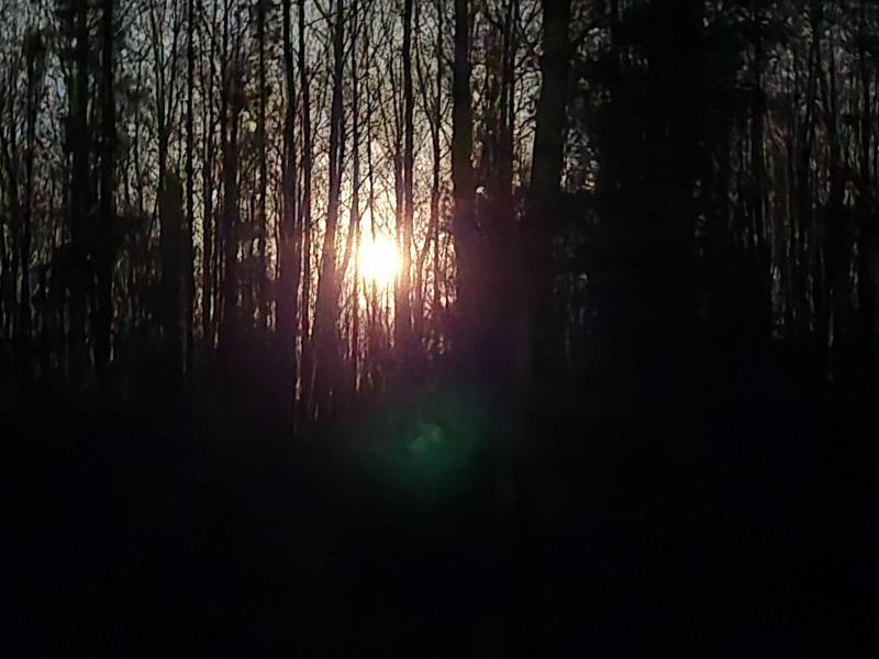 20241018_194738.jpg
