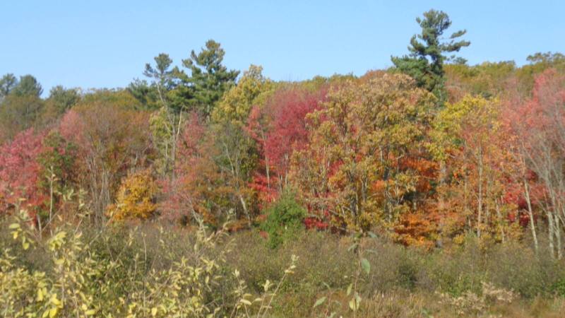 DSC00286.JPG