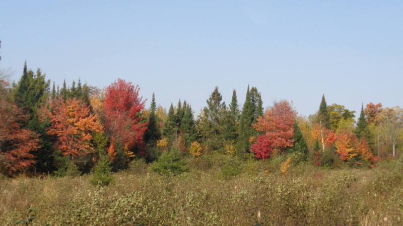 DSC00288.JPG