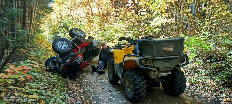 IMG_20241001_144554_873~2.jpg