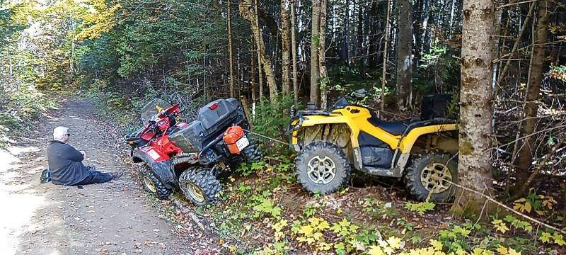 IMG_20241001_145136_743.jpg