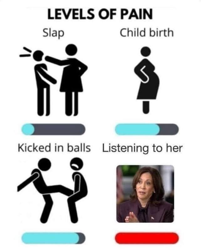 1730815777679.jpg