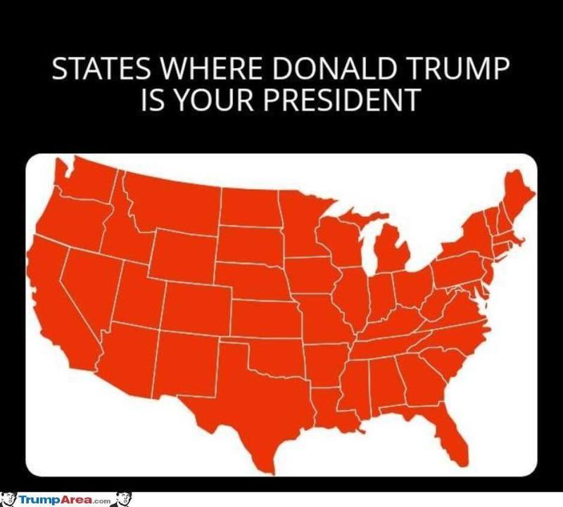 the-states.jpg