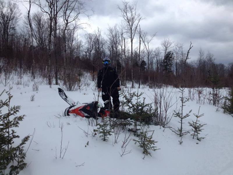 10011528_10203648859612036_1060002970_n.jpg