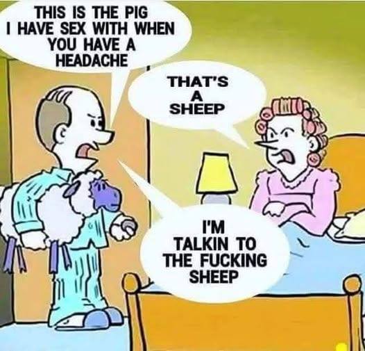 pig.jpg