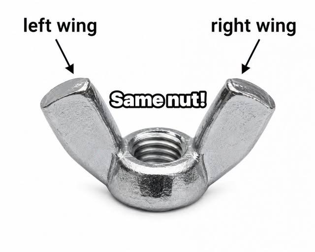 same nut.jpg